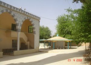 Featured Image
